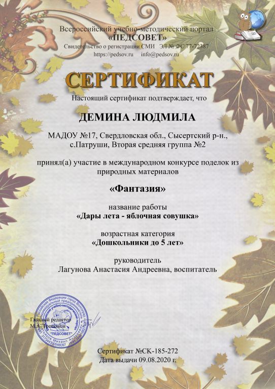 272_certificate.jpg